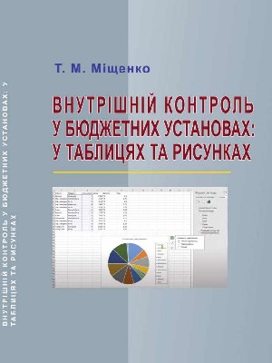 Обкладинка: Внутрішній контроль у бюджетних установах: у таблицях та рисунках